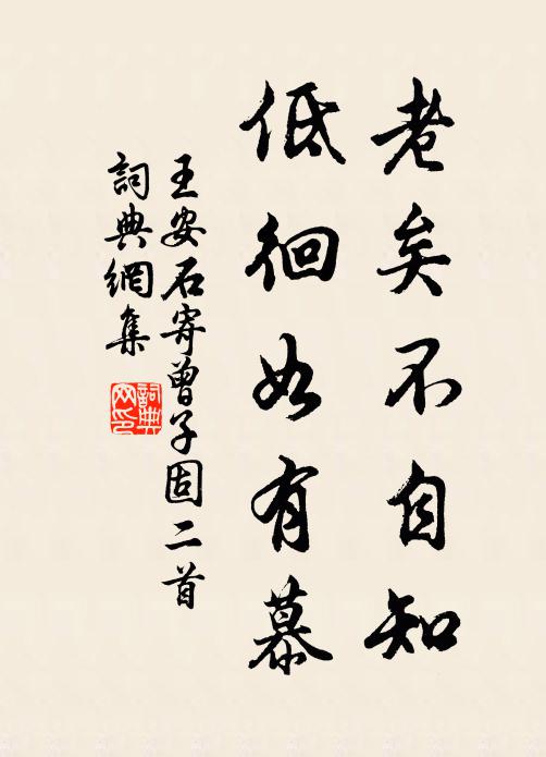 王安石老矣不自知，低徊如有慕书法作品欣赏