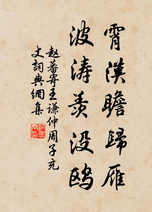 赵蕃霄汉瞻归雁，波涛羡没鸥书法作品欣赏