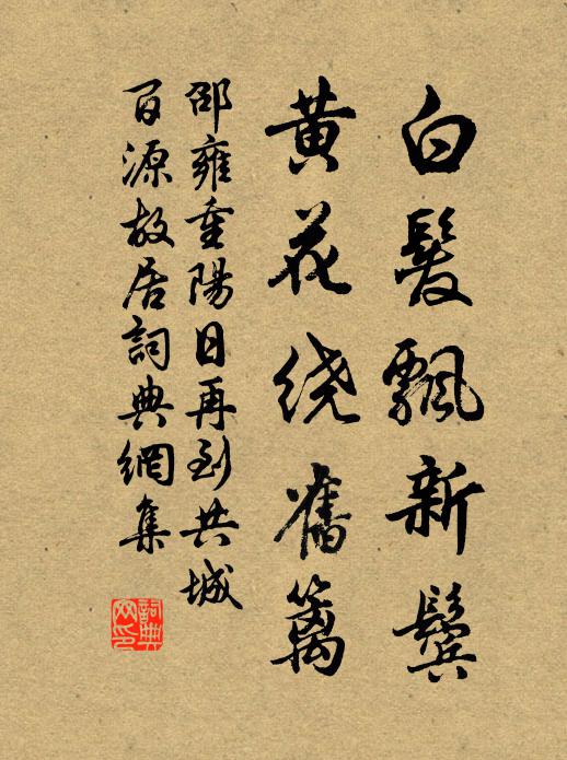 邵雍白发飘新鬓，黄花绕旧篱书法作品欣赏
