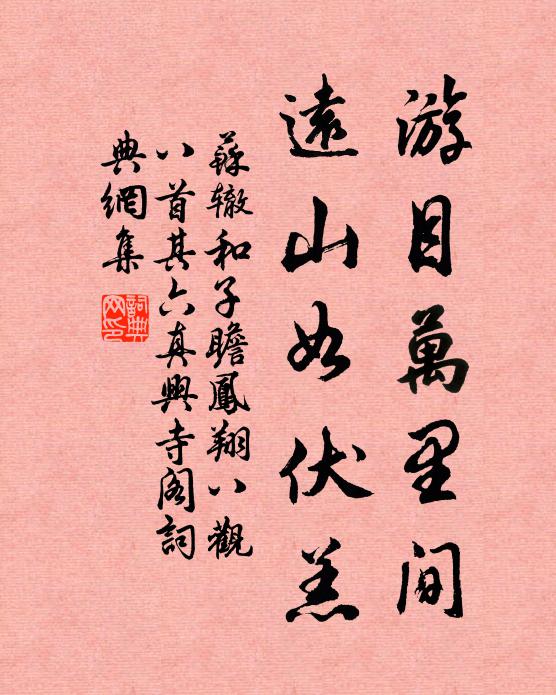 苏辙游目万里间，远山如伏羔书法作品欣赏