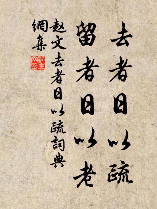 赵文去者日以疏，留者日以老书法作品欣赏