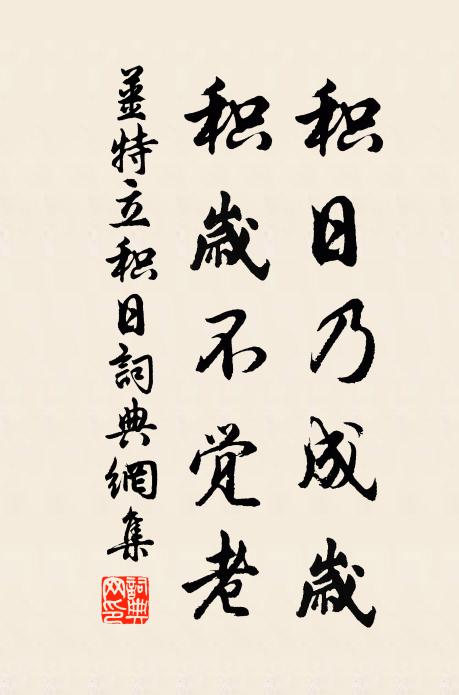 姜特立积日乃成岁，积岁不觉老书法作品欣赏