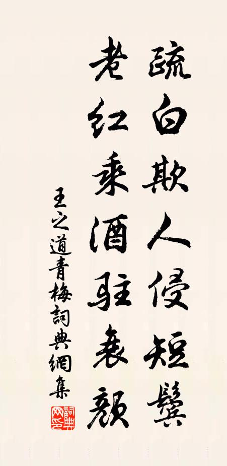 王之道疏白欺人侵短鬓，老红乘酒驻衰颜书法作品欣赏