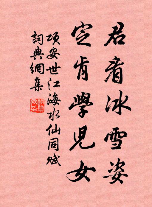 项安世君看冰雪姿，定肯学儿女书法作品欣赏