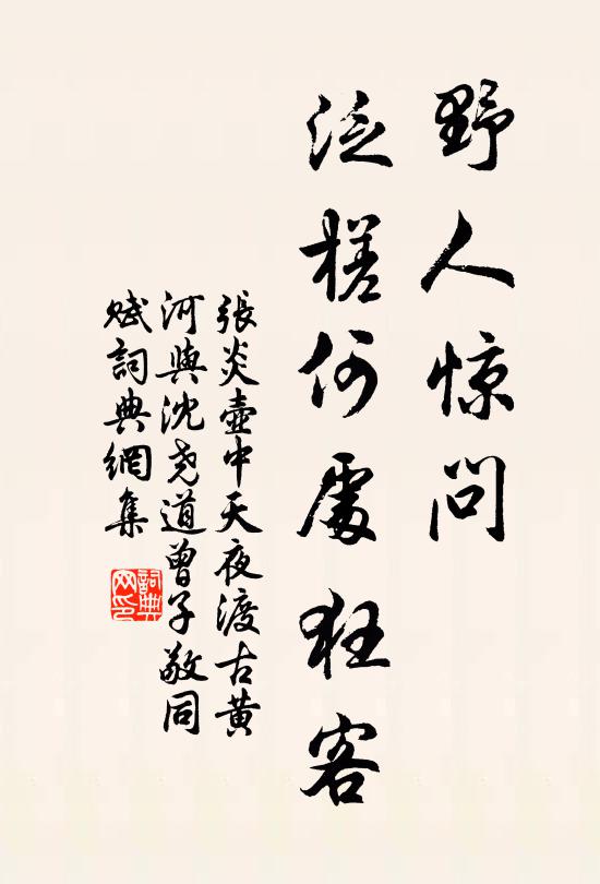 张炎野人惊问，泛槎何处狂客书法作品欣赏