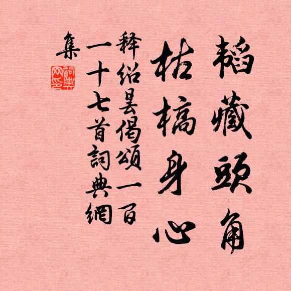 释绍昙韬藏头角，枯槁身心书法作品欣赏