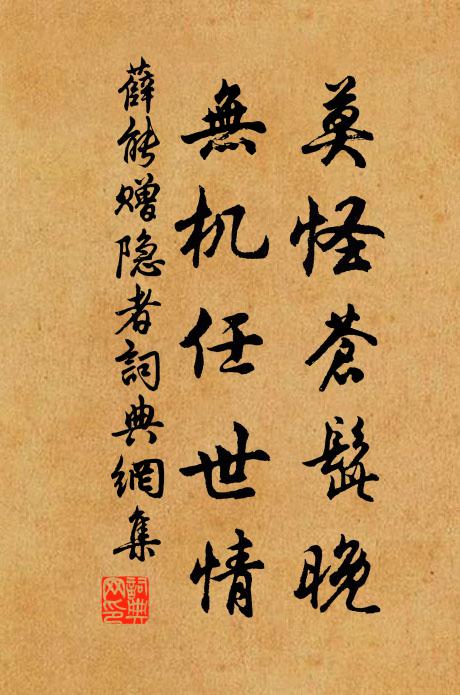薛能莫怪苍髭晚，无机任世情书法作品欣赏