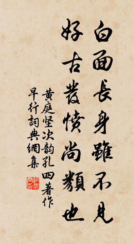 黄庭坚白面长身虽不见，好古发愤尚类也书法作品欣赏