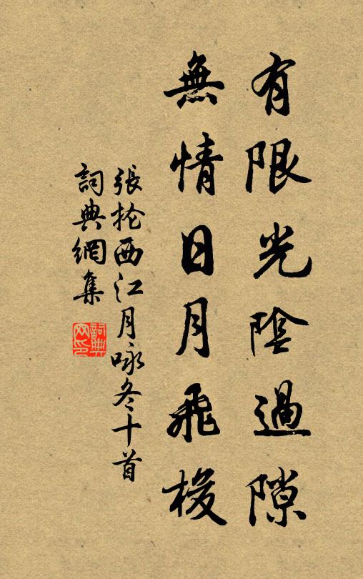 张抡有限光阴过隙，无情日月飞梭书法作品欣赏