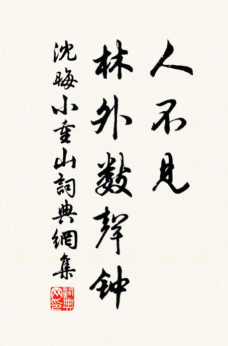 沈晦人不见，林外数声钟书法作品欣赏