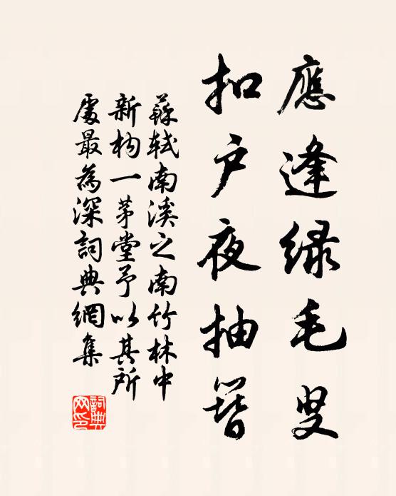苏轼应逢绿毛叟，扣户夜抽簪书法作品欣赏
