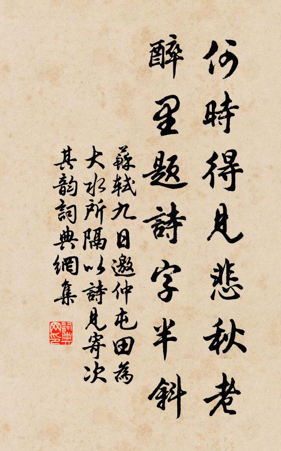 苏轼何时得见悲秋老，醉里题诗字半斜书法作品欣赏