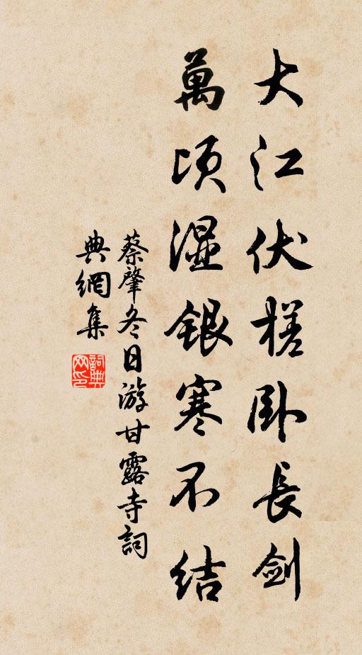 蔡肇大江伏槎卧长剑，万顷湿银寒不结书法作品欣赏