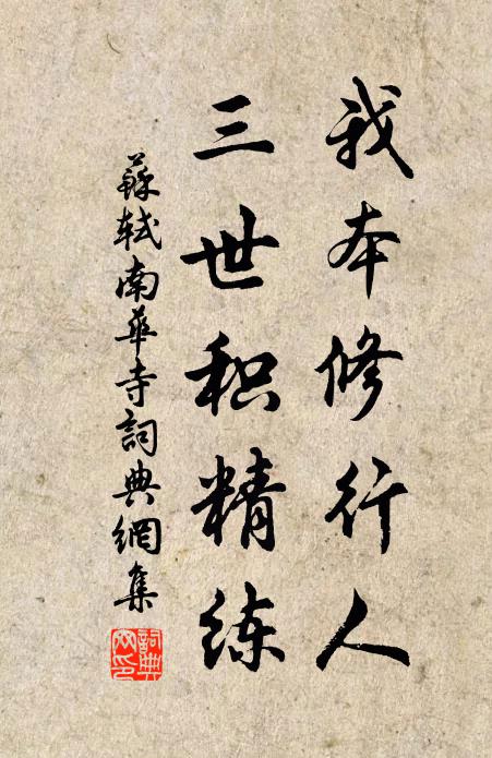 苏轼我本修行人，三世积精练书法作品欣赏