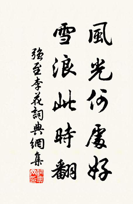 强至风光何处好，雪浪此时翻书法作品欣赏