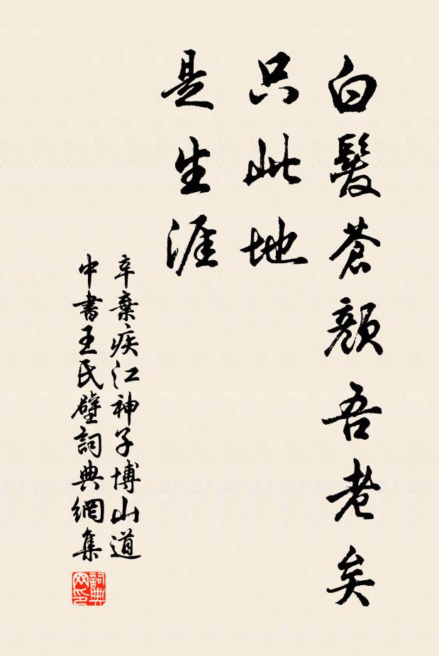 辛弃疾白发苍颜吾老矣，只此地，是生涯书法作品欣赏