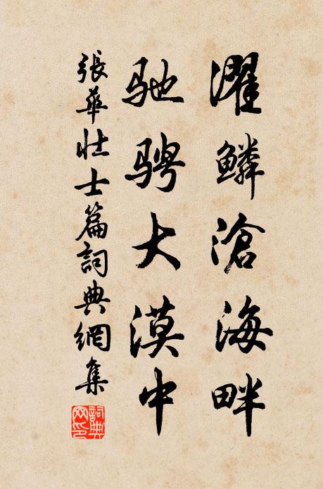 张华濯鳞沧海畔，驰骋大漠中书法作品欣赏