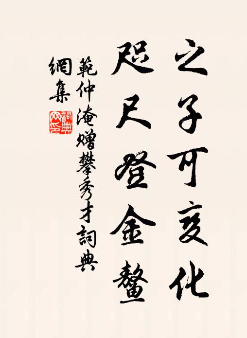 范仲淹之子可变化，咫尺登金鳌书法作品欣赏