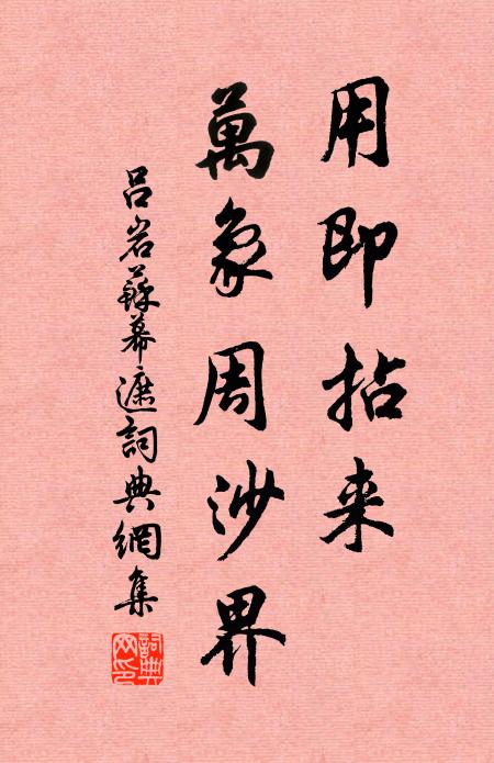 吕岩用即拈来，万象周沙界书法作品欣赏