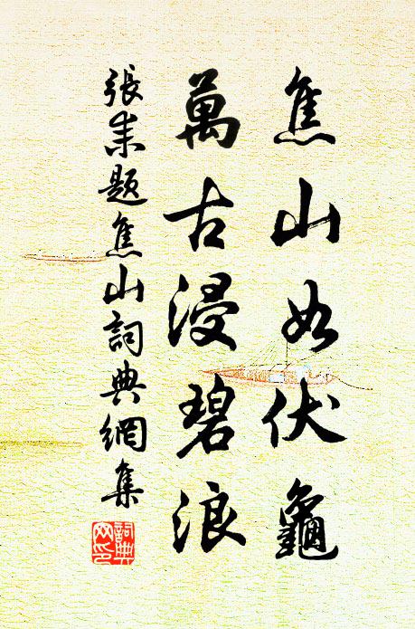 张耒焦山如伏龟，万古浸碧浪书法作品欣赏