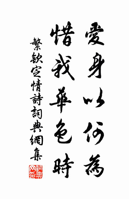 繁钦爱身以何为，惜我华色时书法作品欣赏