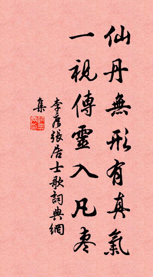 李廌仙丹无形有真气，一视传灵入凡枣书法作品欣赏