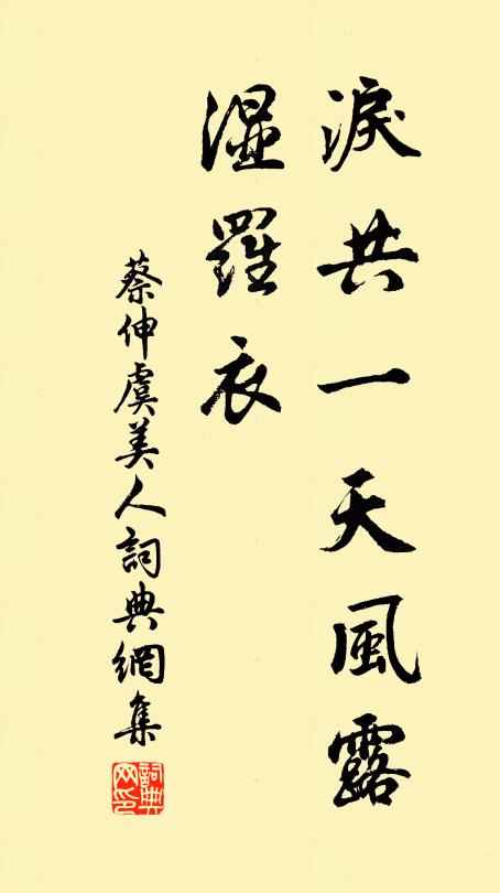 蔡伸泪共一天风露、湿罗衣书法作品欣赏