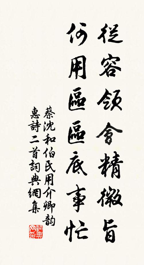蔡沈从容领会精微旨，何用区区底事忙书法作品欣赏