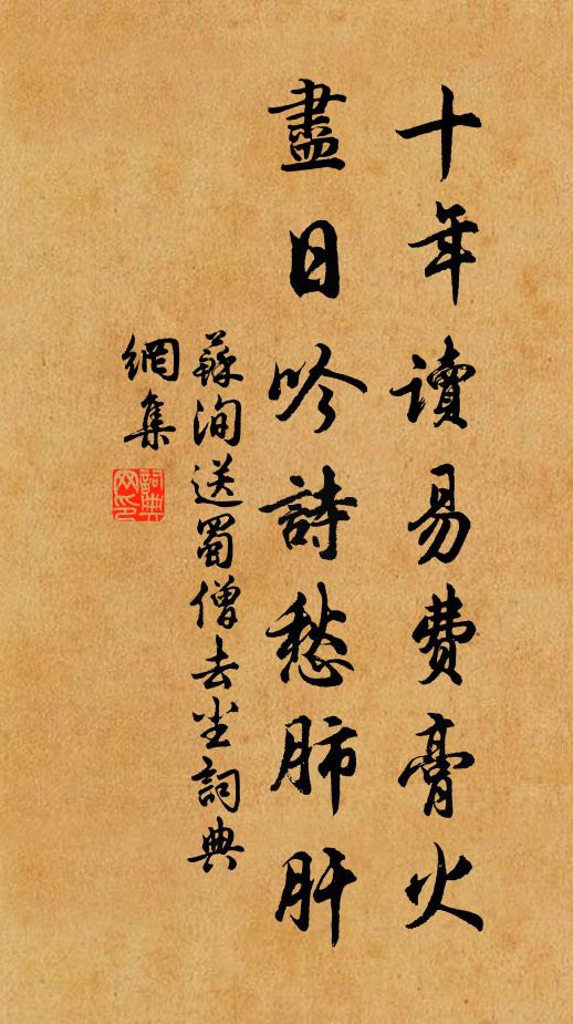 苏洵十年读《易》费膏火，尽日吟诗愁肺肝书法作品欣赏