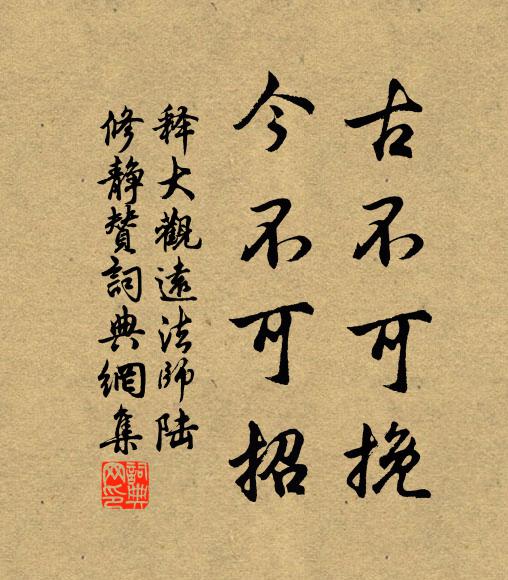 释大观古不可挽，今不可招书法作品欣赏
