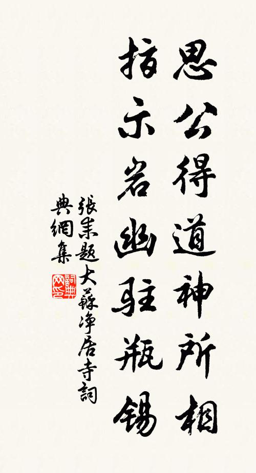张耒思公得道神所相，指示岩幽驻瓶锡书法作品欣赏