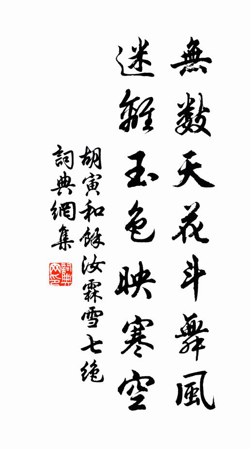 胡寅无数天花斗舞风，迷离玉色映寒空书法作品欣赏
