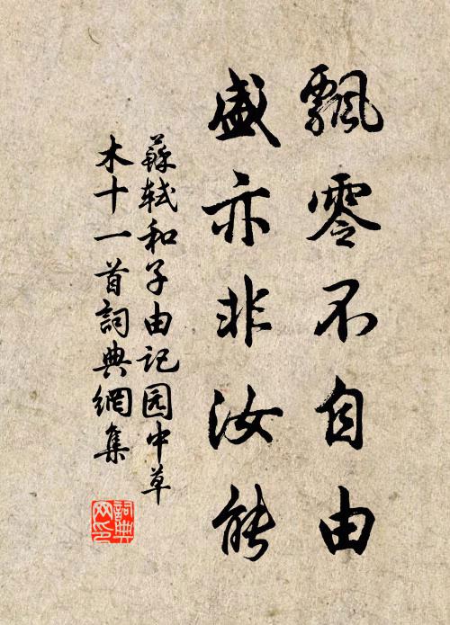 苏轼飘零不自由，盛亦非汝能书法作品欣赏