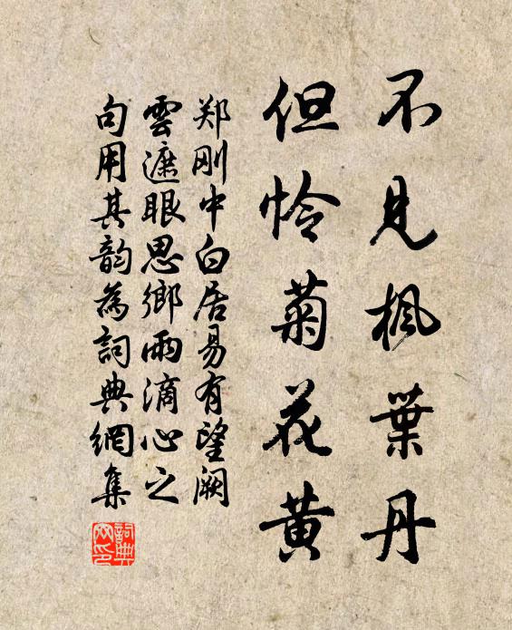 郑刚中不见枫叶丹，但怜菊花黄书法作品欣赏