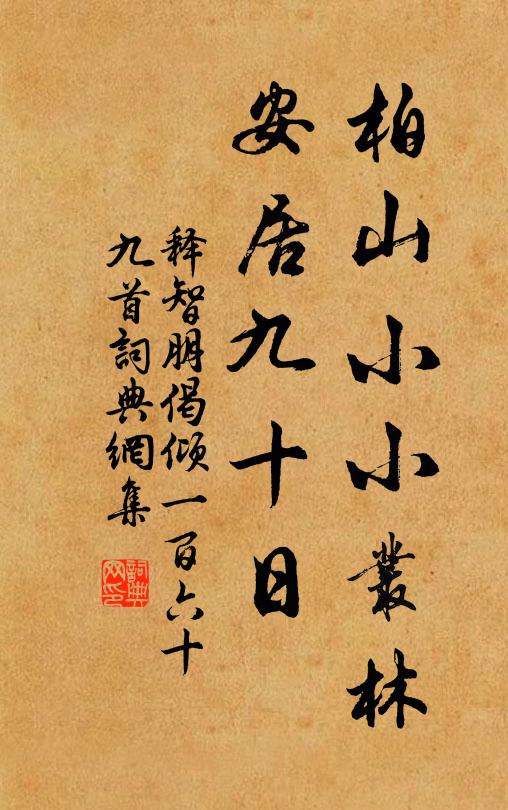 释智朋柏山小小丛林，安居九十日书法作品欣赏
