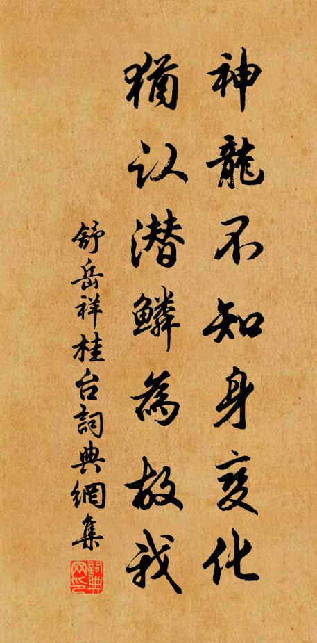 舒岳祥神龙不知身变化，犹认潜鳞为故我书法作品欣赏