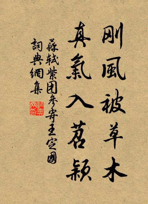 苏轼刚风被草木，真气入苕颖书法作品欣赏