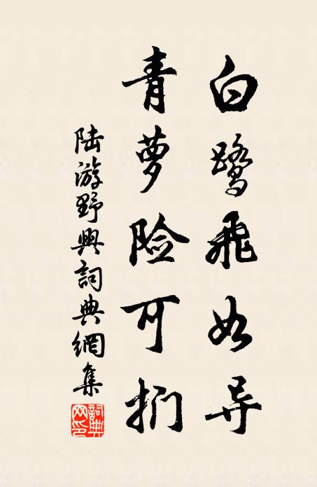 陆游白鹭飞如导，青萝险可扪书法作品欣赏