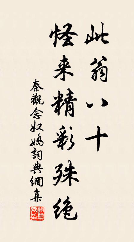 秦观此翁八十，怪来精彩殊绝书法作品欣赏