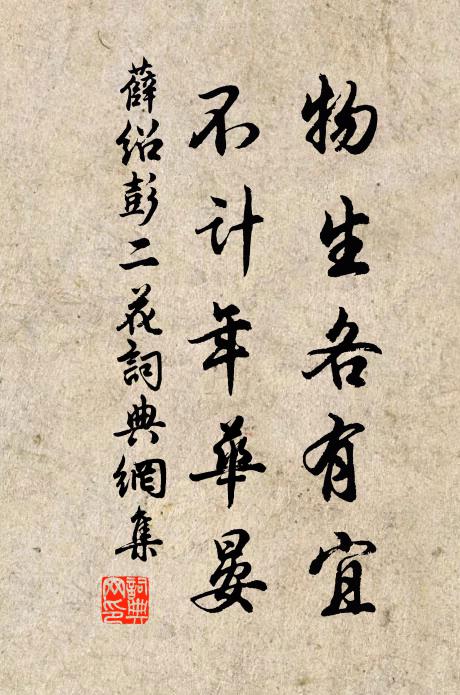 薛绍彭物生各有宜，不计年华晏书法作品欣赏