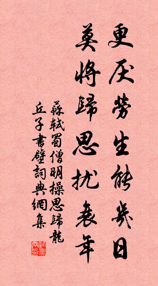 苏轼更厌劳生能几日，莫将归思扰衰年书法作品欣赏