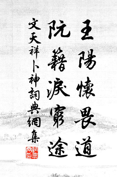 文天祥王阳怀畏道，阮籍泪穷途书法作品欣赏