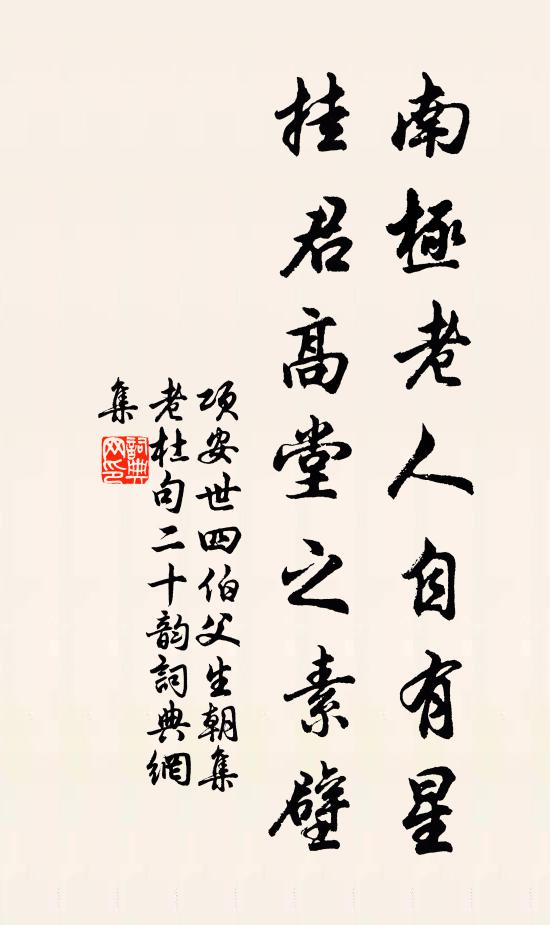 项安世南极老人自有星，挂君高堂之素壁书法作品欣赏