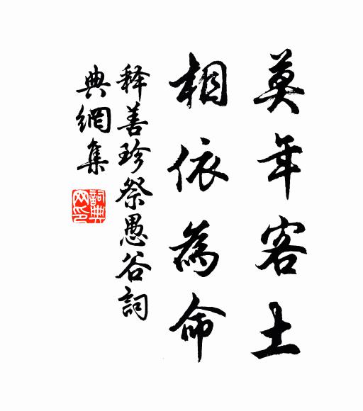 释善珍莫年客土，相依为命书法作品欣赏