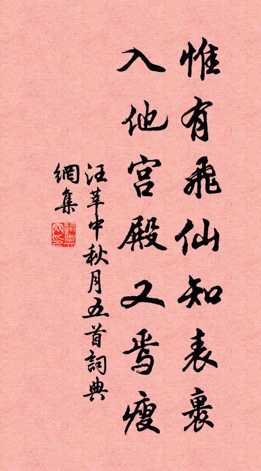 汪莘惟有飞仙知表裹，入他宫殿又焉瘦书法作品欣赏