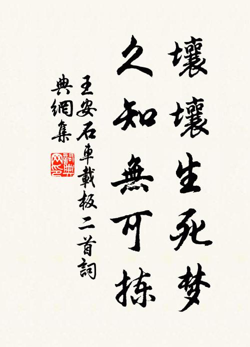 王安石壤壤生死梦，久知无可拣书法作品欣赏
