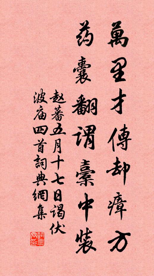 赵蕃万里才传却瘴方，药囊翻谓橐中装书法作品欣赏