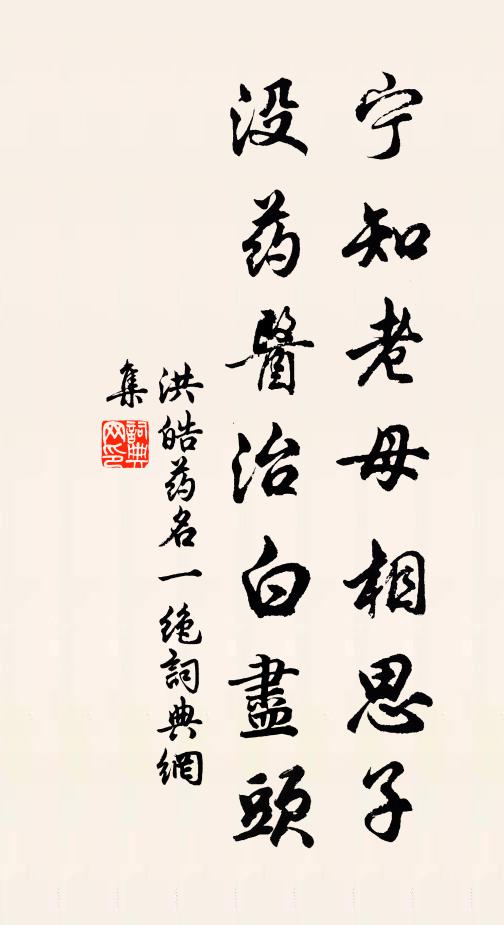 洪皓宁知老母相思子，没药医治白尽头书法作品欣赏