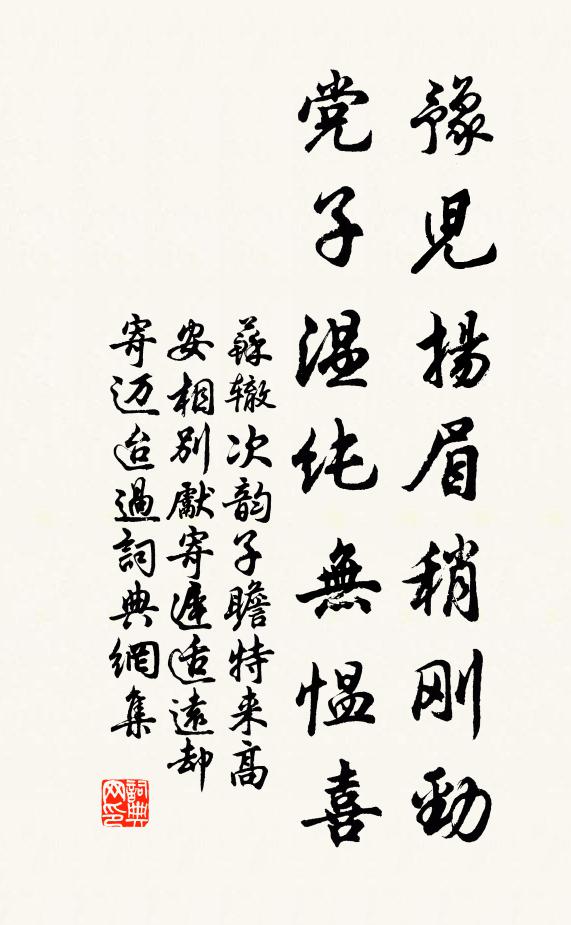 苏辙豫儿扬眉稍刚劲，党子温纯无愠喜书法作品欣赏