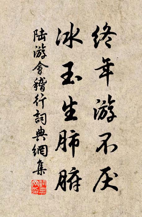 陆游终年游不厌，冰玉生肺腑书法作品欣赏